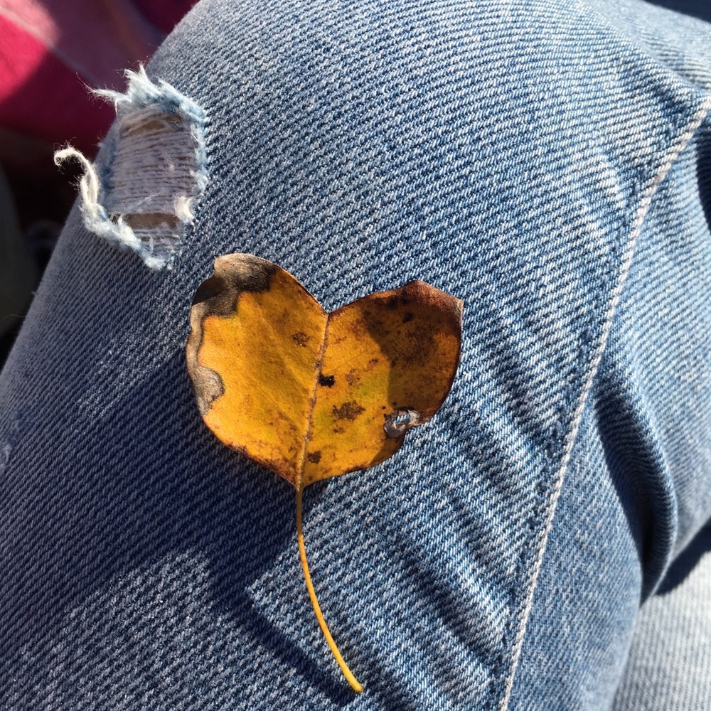 Meet your Posher, Judith